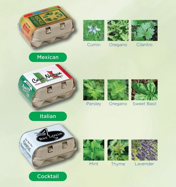 Herb Kits Recycled Egg Cartons Eco Promotional Products